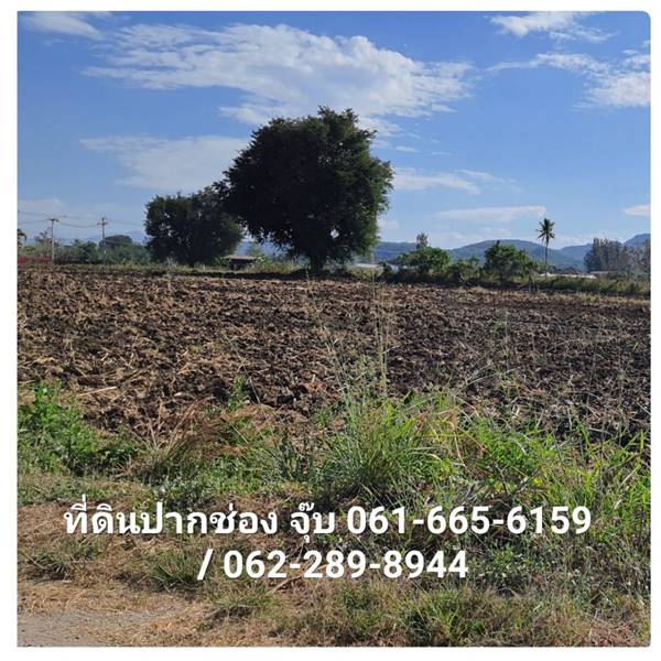 ขายที่ดินปากช่อง 5-3-55.3 ไร่ น้ำไม่ท่วม (ราคาถูกสุดในโซนเดียวกัน) ติดถนน 2 ฝั่ง เหมาะทำโรงแรม รีสอร์ท วิวเขาใหญ่